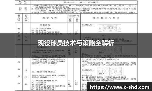 现役球员技术与策略全解析