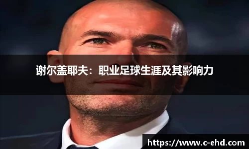 谢尔盖耶夫：职业足球生涯及其影响力